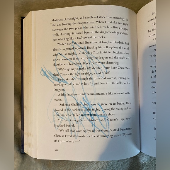 Free: Dragon Rider by Cornelia Funke Hardcover - Picture 6 of 10